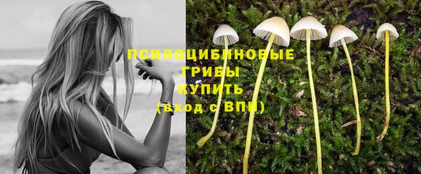 spice Зеленодольск
