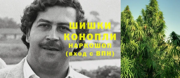 spice Зеленодольск