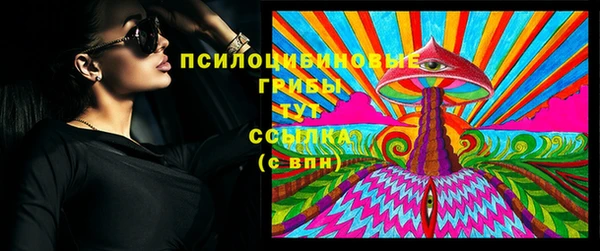 spice Зеленодольск