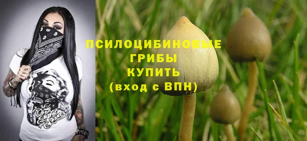 spice Зеленодольск