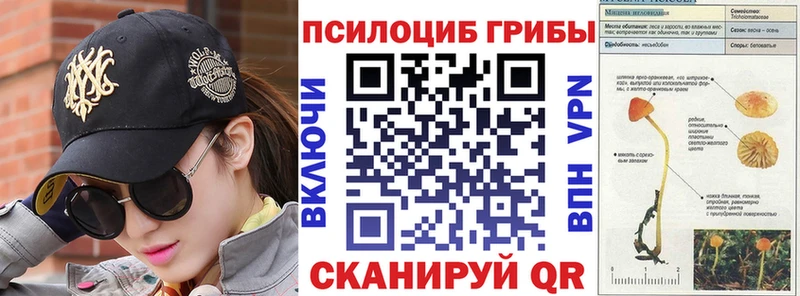 Купить где  Суздаль  Галлюциногенные грибы MAGIC MUSHROOMS 