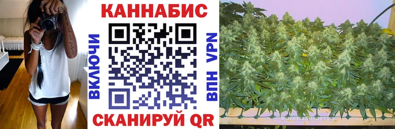 Бошки марихуана тримм  Купить где  Суздаль 